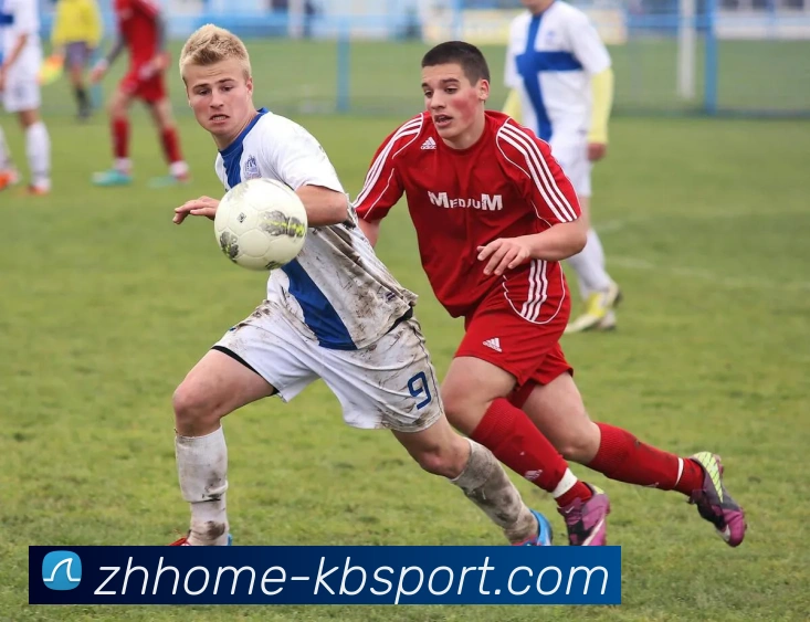 多媒体互动体验